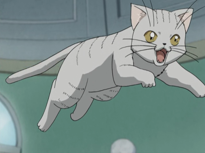 Kokoro Toshokan (Fansubber)